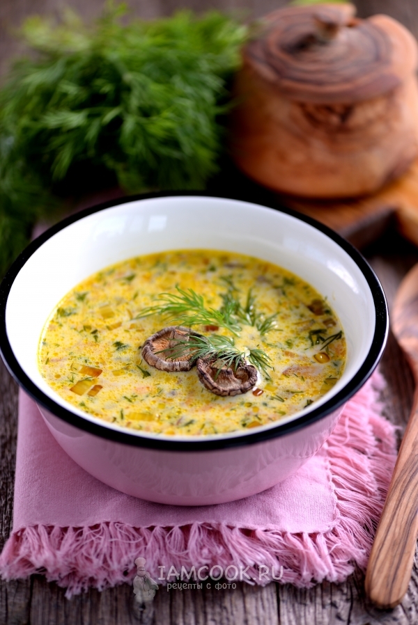 Рецепт сливочного супа с грибами и плавленным сыром