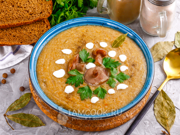 Суп-пюре из маслят — рецепт с фото пошагово