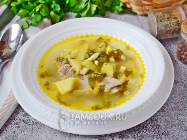 Суп из замороженного щавеля — рецепт с фото пошагово