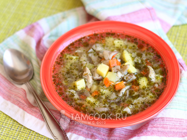 Суп с вешенками и курицей — рецепт с фото пошагово