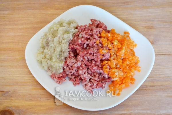 Перекрутить мясо, лук и морковь