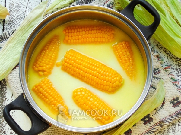 Фото кукурузы, варенной с молоком и сливочным маслом