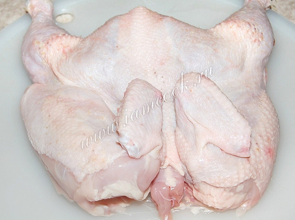 Цыпленок табака под прессом на сковороде - рецепт, как и сколько готовить