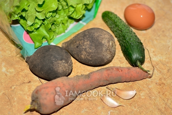 Ингредиенты для салата из черной редьки с морковью