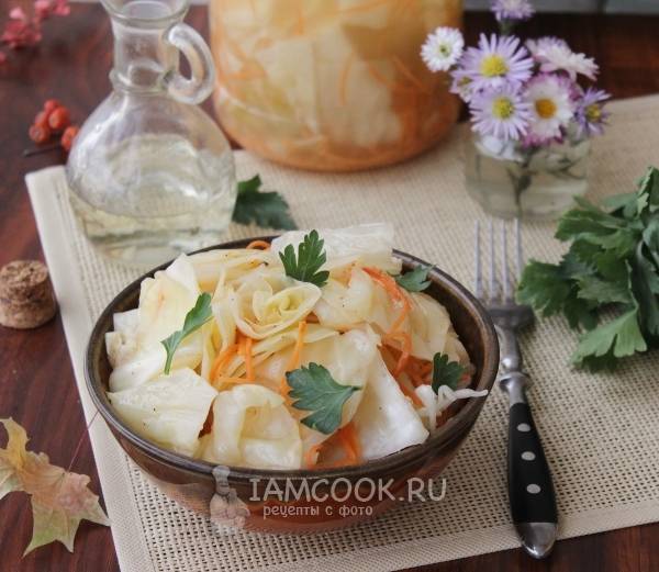пластиковыеокнавтольятти.рф2: Засолка капусты и салаты из нее