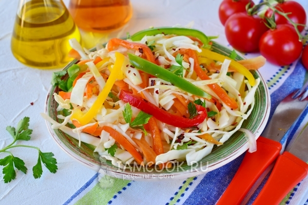 Рецепт салата с капустой, морковью и уксусом
