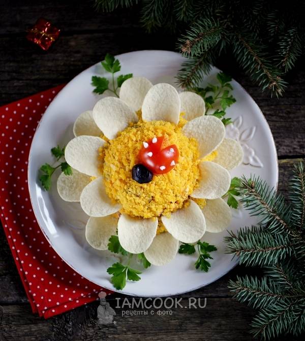 Рецепты салатов с чипсами и курицей