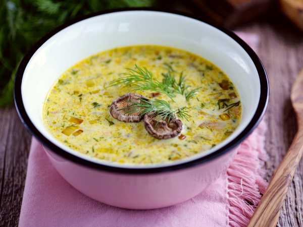 Сырный суп с грибами и мясом