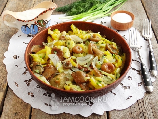 Запеканка с курицей и солеными огурцами «Картофельная» – пошаговый рецепт приготовления с фото