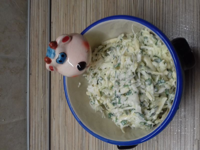 Салат с белокочанной капустой и сыром — рецепт с фото пошагово