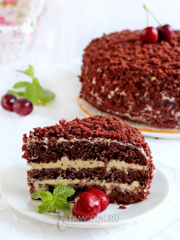 Шоколадный торт на кефире «Ноченька». Пошаговый рецепт с фото