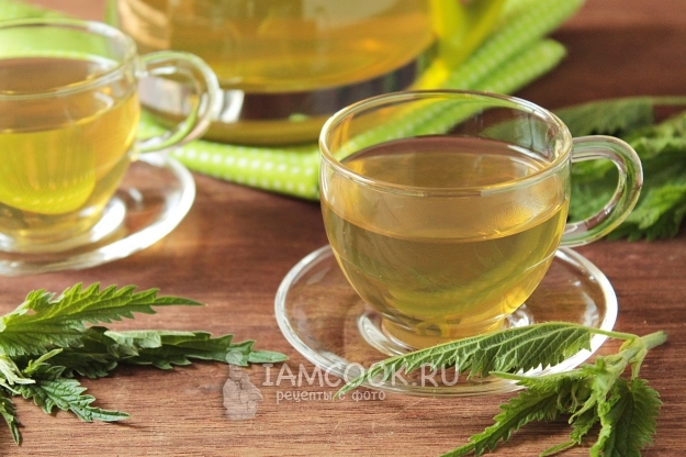 Рецепт крапивного чая из листьев крапивы