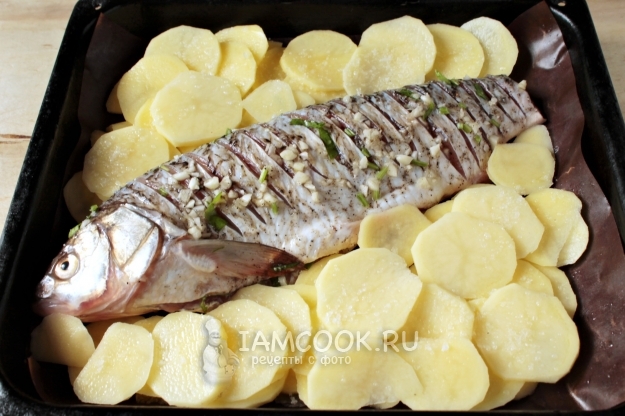 Положить рыбу на картофель