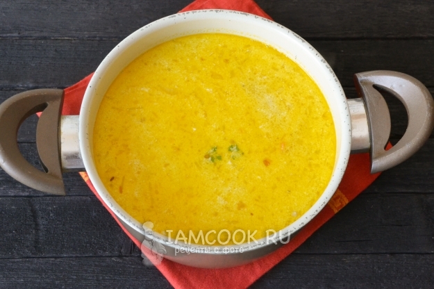 Фото супа из семги со сметаной
