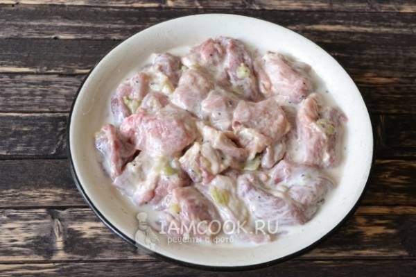 Шашлык на кефире из свинины — 4 рецепта с фото пошагово