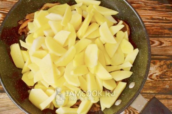 Грибы рыжики жареные с картошкой и луком в сметане на сковороде
