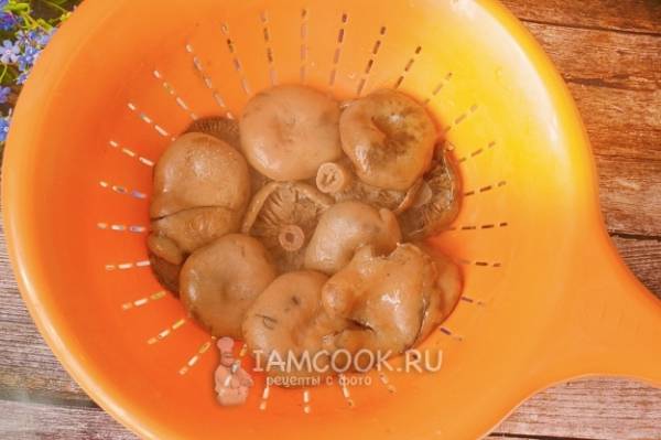 Как приготовить самые вкусные жаренные грибы рыжики