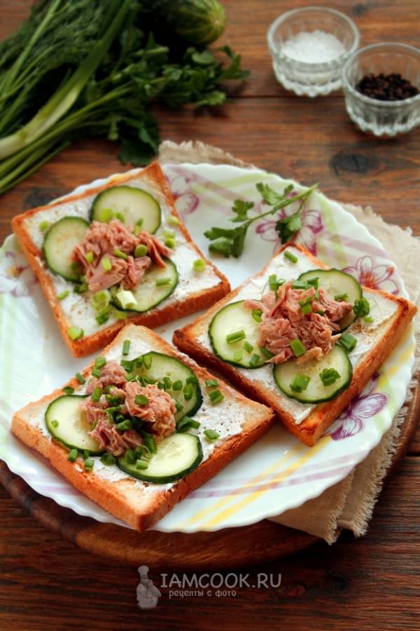 Лучшие рецепты бутербродов с тунцом
