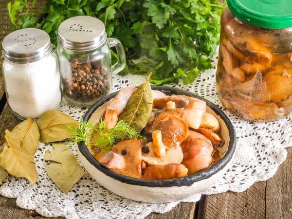 Маринованные рыжики простой рецепт рецепт с фото | Recipe | Cooking, Food, Cucumber
