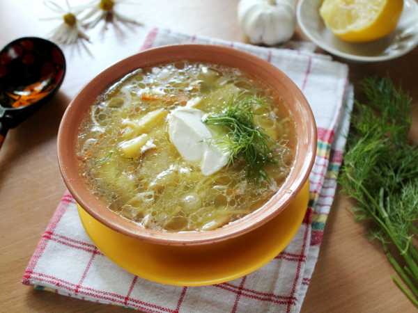 Как варить суп из белых грибов – «Еда»