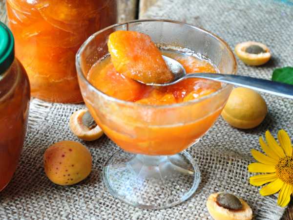 Варенье из абрикосов без косточек: рецепты для зимы в домашних условиях