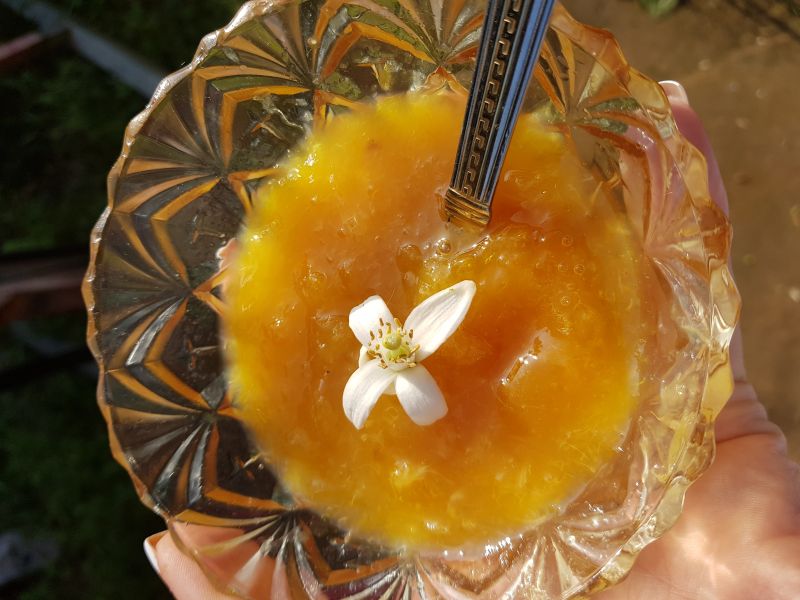 Джем из апельсинов, рецепт с фото. Как сделать апельсиновый джем?
