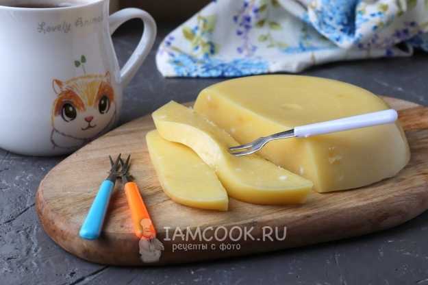 Рецепты домашнего сыра из творога