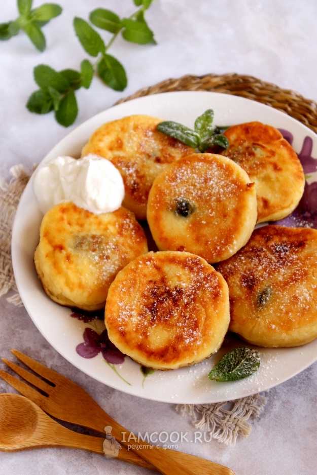 Сырники из творога в духовке — 7 рецептов с фото пошагово
