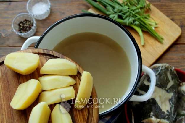 Рецепт уха из головы сома. Калорийность, химический состав и пищевая ценность.