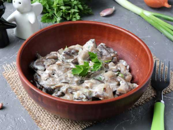 Как вкусно приготовить вешенки грибы на сковороде: лучшие рецепты