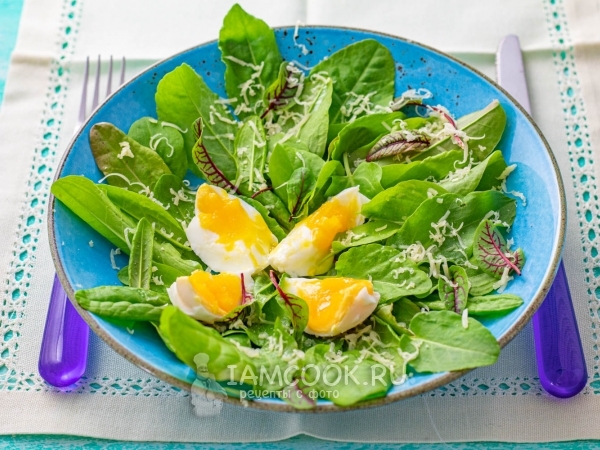 Салат с щавелем и яйцом, рецепт с фото