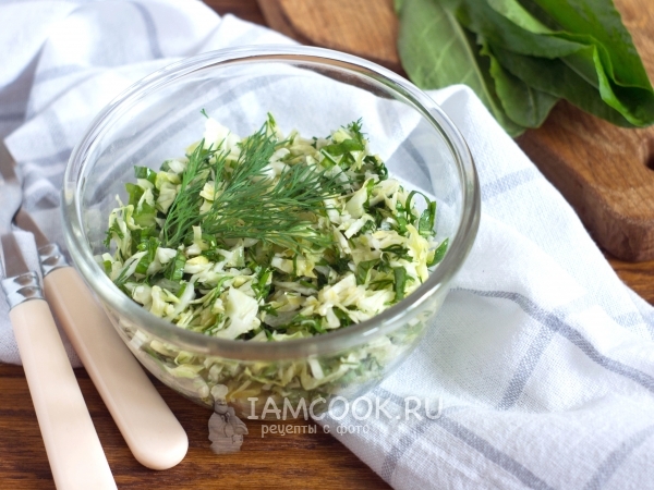 Салат из капусты и щавеля, рецепт с фото