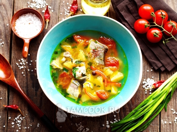 Рыбный суп из толстолобика с помидорами, рецепт с фото