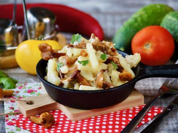 Лисички в сметане на сковороде: рецепт с картошкой, способ приготовления