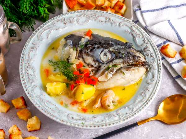 Суп из форели | Рецепт | Рыбный суп, Форель, Суп