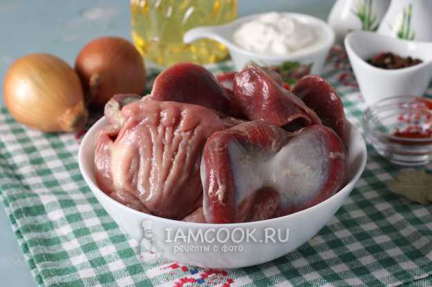 Куриные желудки в сметане на сковороде, пошаговый рецепт с фото на ккал