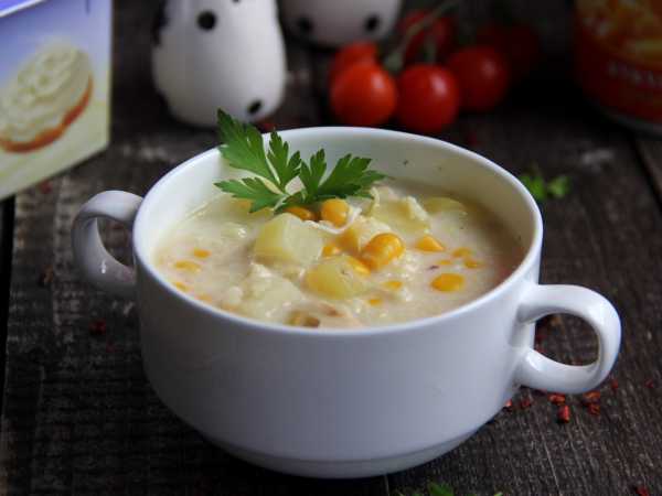 Суп-пюре с плавленым сыром - классический рецепт с пошаговыми фото