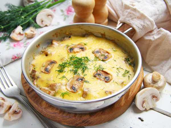Рецепт жюльена без духовки: как приготовить на сковороде с курицей, грибами и сыром