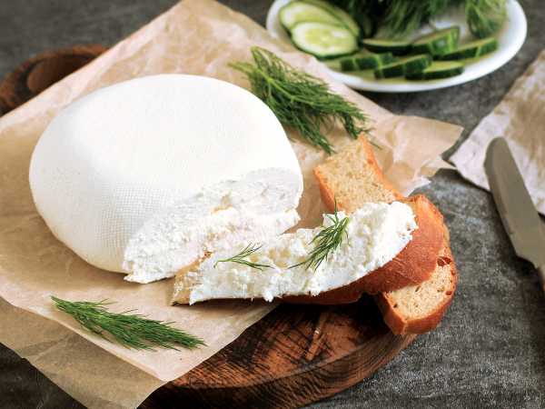 Как сделать сыр из козьего молока в домашних условиях?