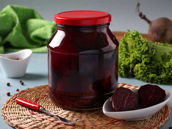 Свекла: лучшие рецепты вкусных заготовок на зиму | Дачная кухня (gkhyarovoe.ru)