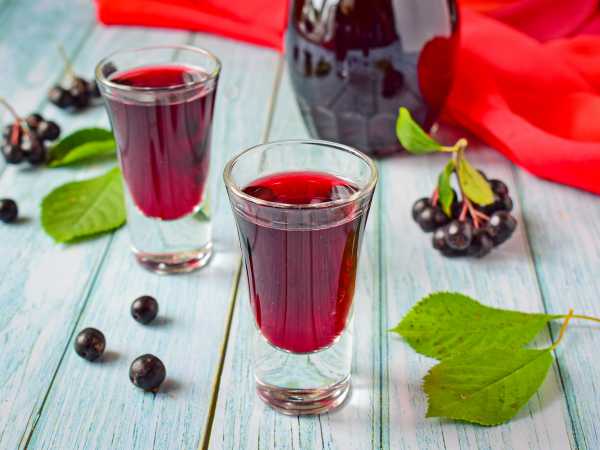 Ликеры из вишневых листьев: домашние рецепты – Рецепты алкогольных напитков