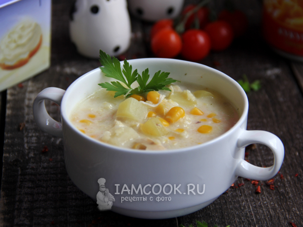 Суп-пюре с тыквой и плавленым сыром – пошаговый рецепт приготовления с фото