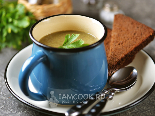 Диетический суп-пюре из шампиньонов, рецепт с фото