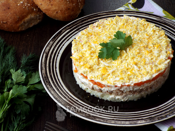 Мимоза салат классический рецепт с фото пошагово