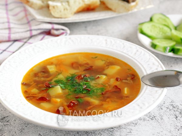 Суп из сушеных лисичек, рецепт с фото