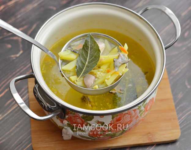 Уха из форели - лучшие рецепты вкусного рыбного супа