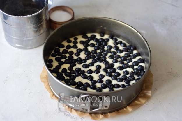 Пирог с черноплодной рябиной: пошаговый рецепт с фото