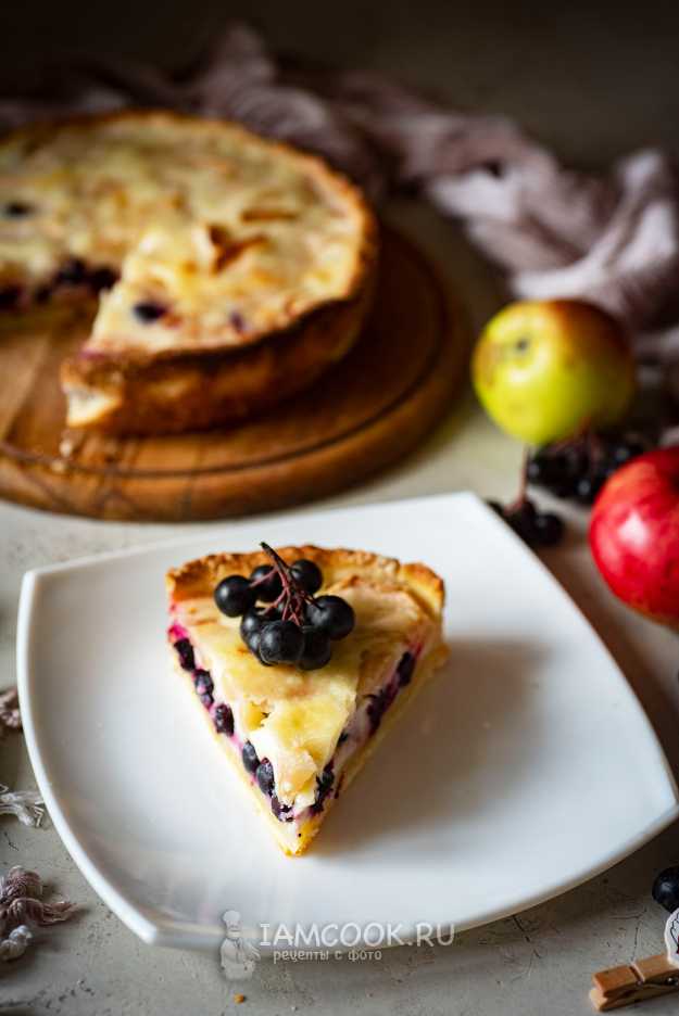 Пирог с рябиной черноплодной и творогом — вкусный рецепт с фото