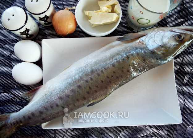 Пошаговый рецепт приготовления суфле из рыбы с фото