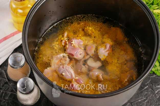 Простой рецепт приготовления куриных желудков в мультиварке Редмонд